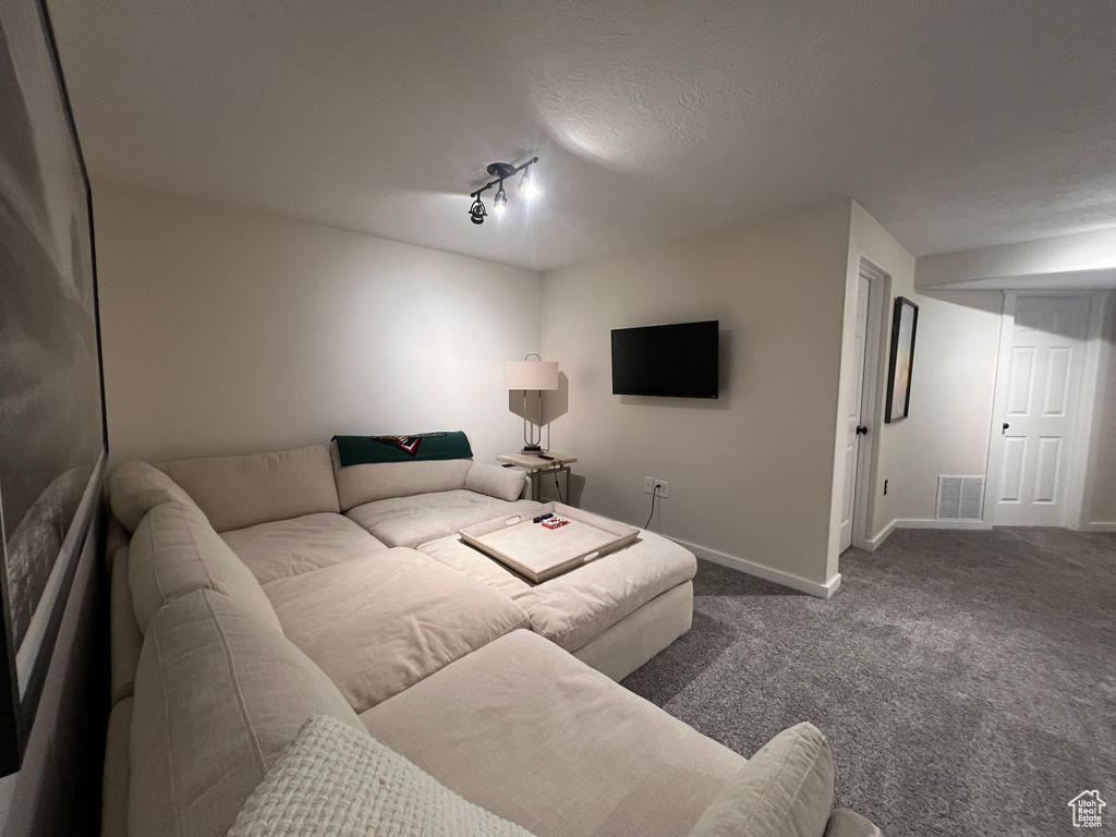 Carpeted living room with baseboards, visible vents, and rail lighting