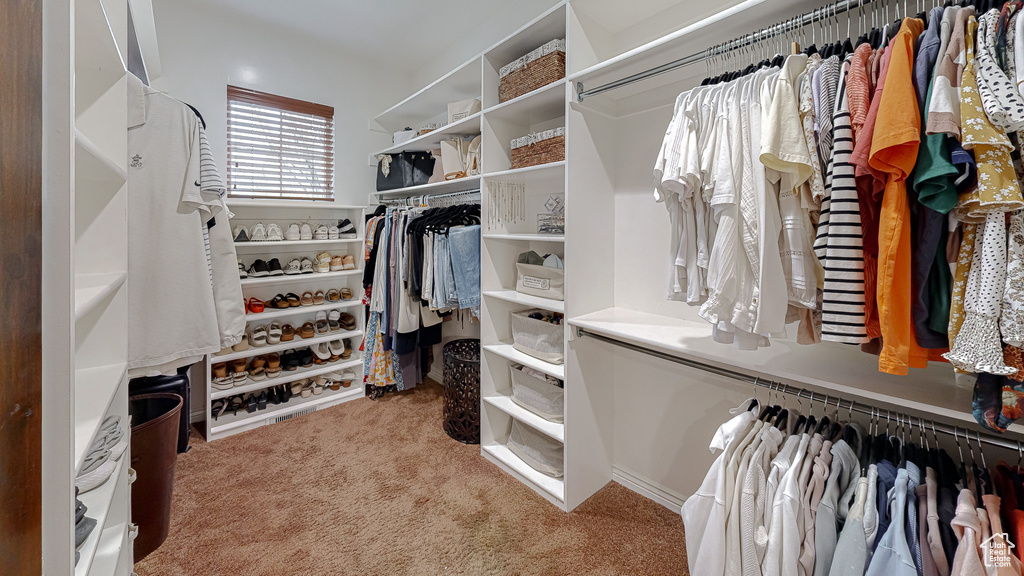 Spacious closet featuring carpet flooring