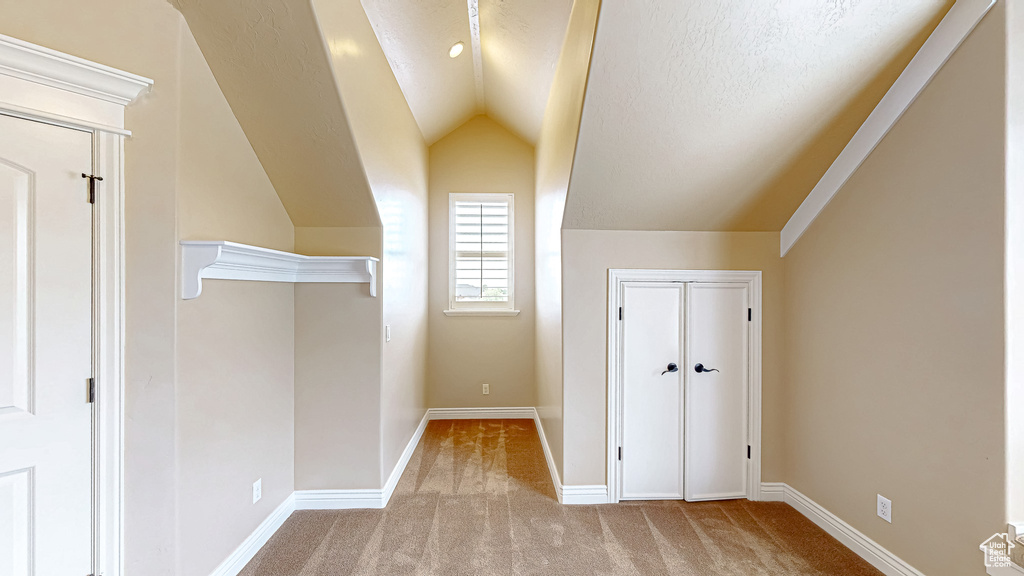 Additional living space with carpet floors, baseboards, and vaulted ceiling
