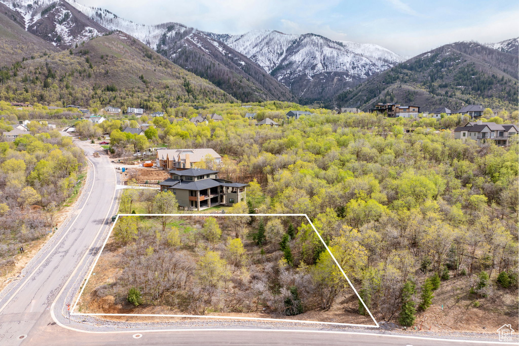 Property view of mountains with a forest view