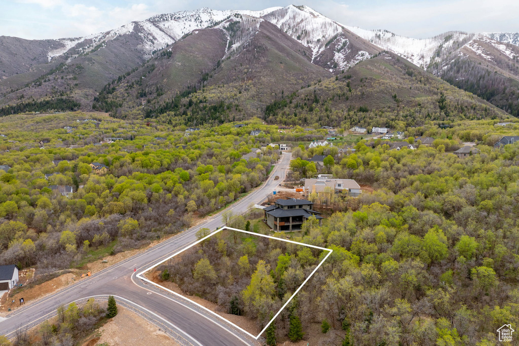 Property view of mountains featuring a forest view