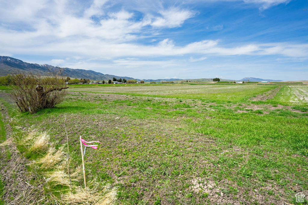 View of yard with a rural view and a mountain view