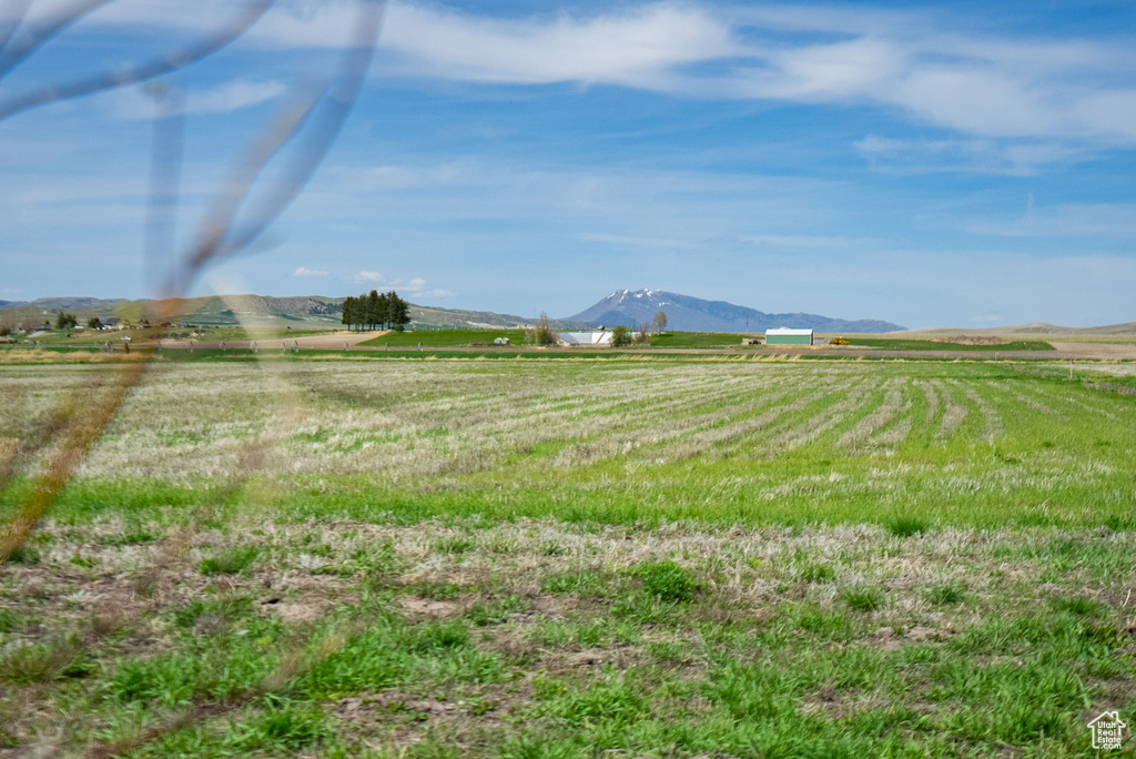 View of yard with a rural view and a mountain view