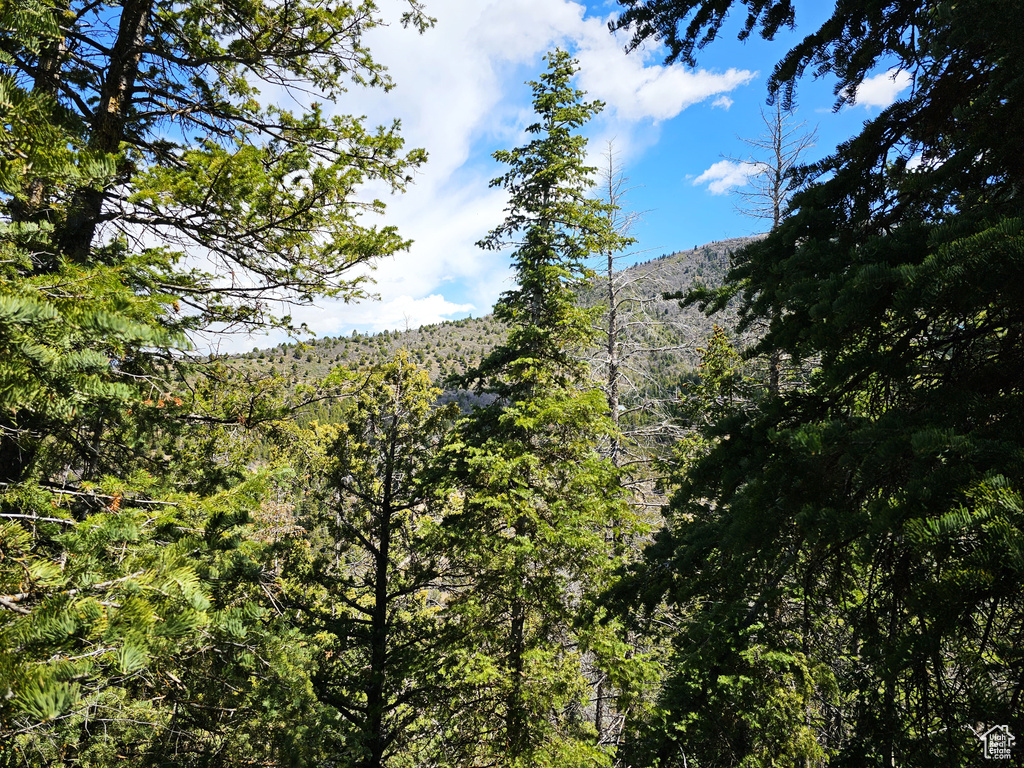 View of local wilderness with a view of trees and a mountain view