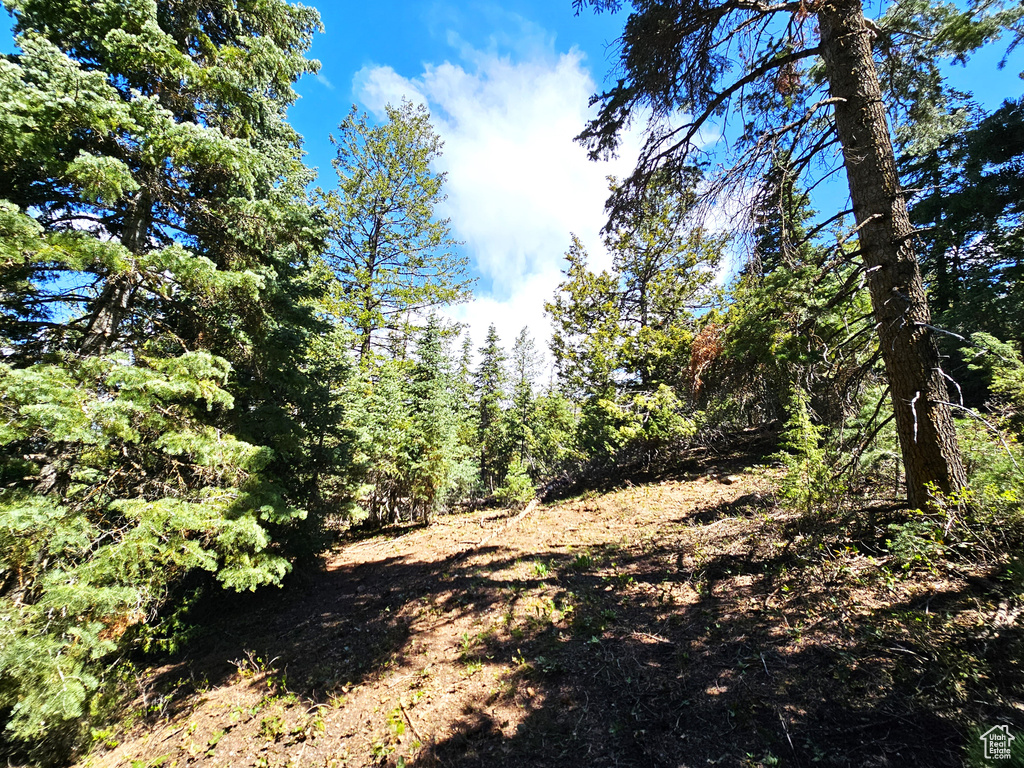 View of nature with a wooded view