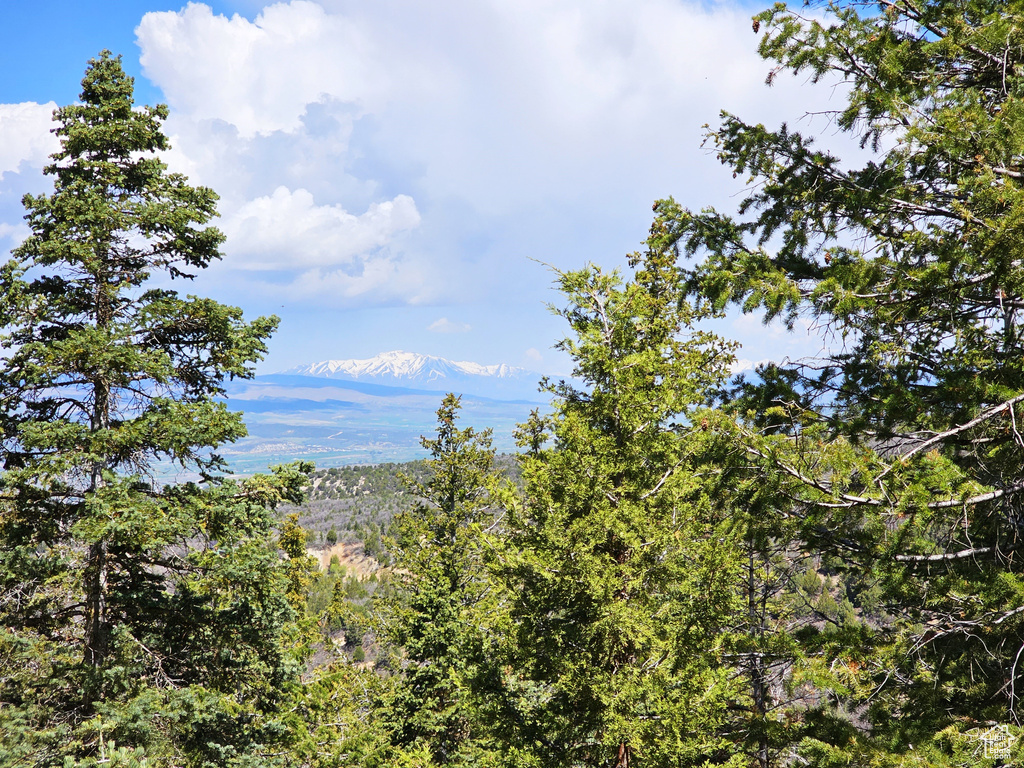 View of nature featuring a view of trees and a mountain view