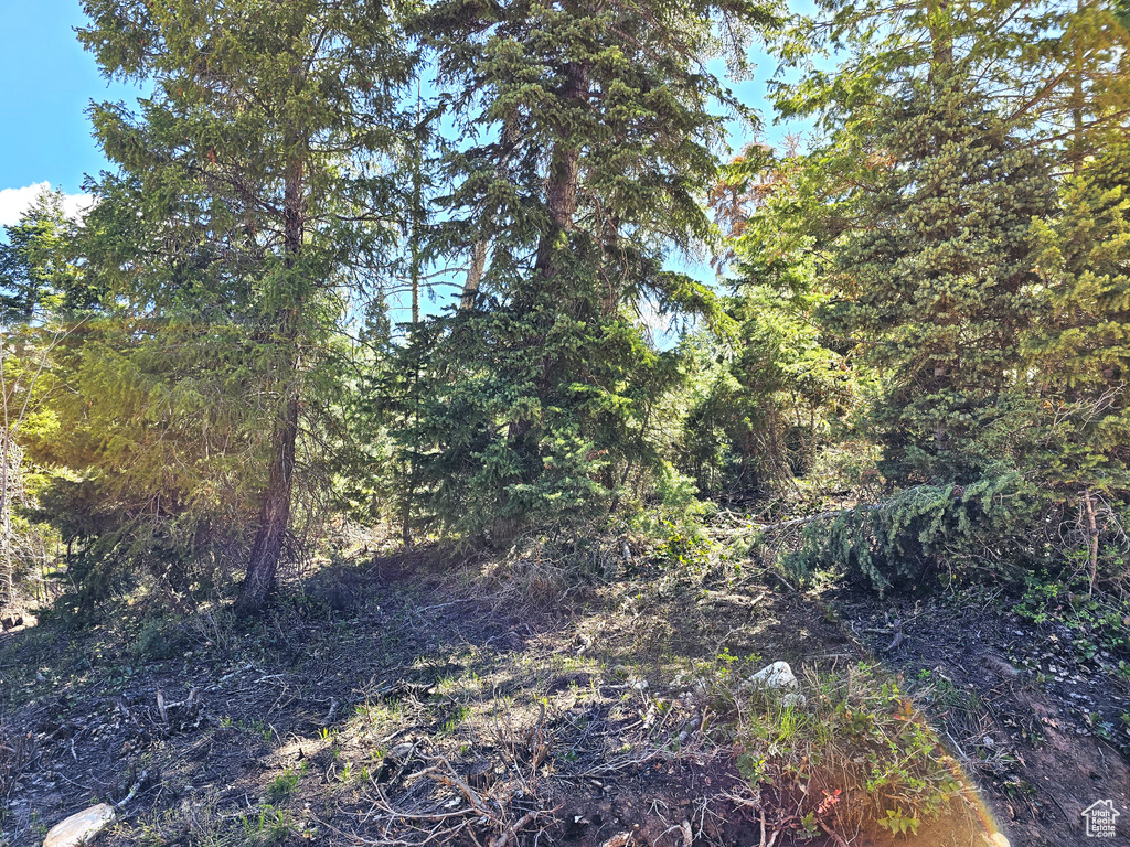 View of nature with a wooded view