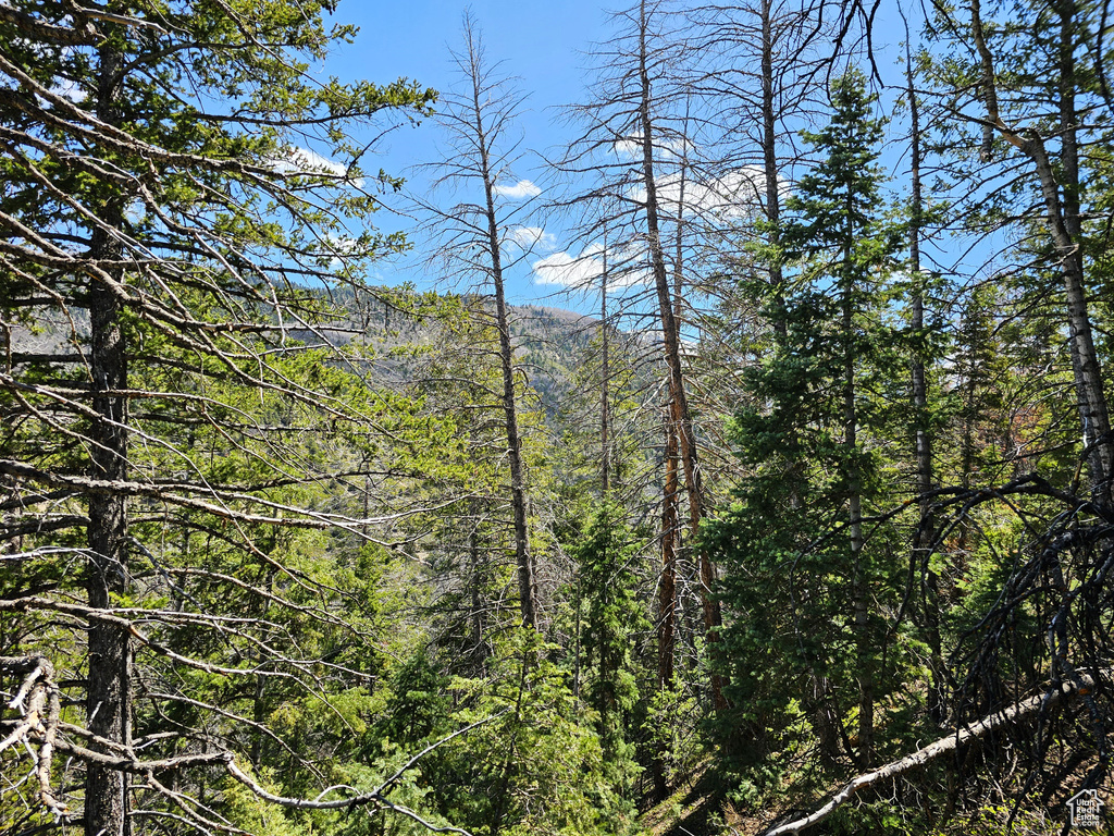 Mountain view with a view of trees