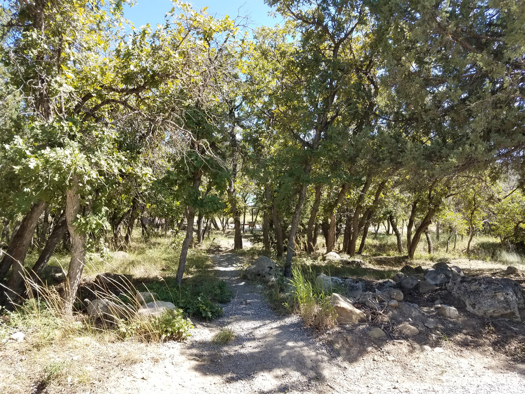 View of landscape