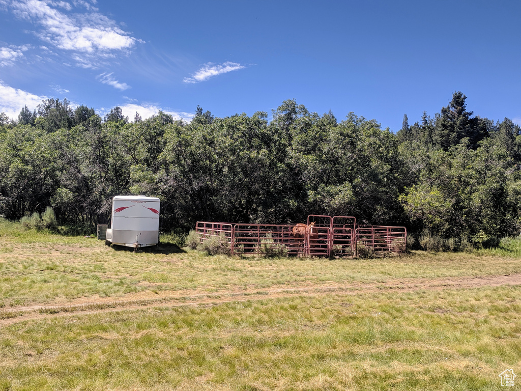 View of yard featuring a view of trees