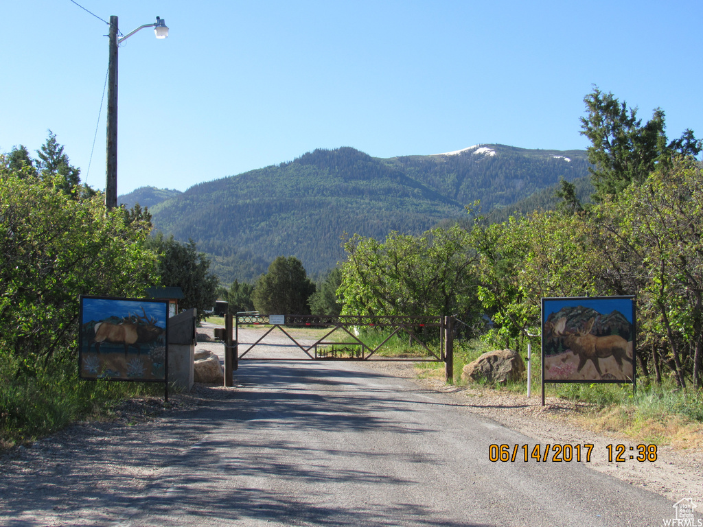 View of road featuring a gate, a mountain view, and street lighting