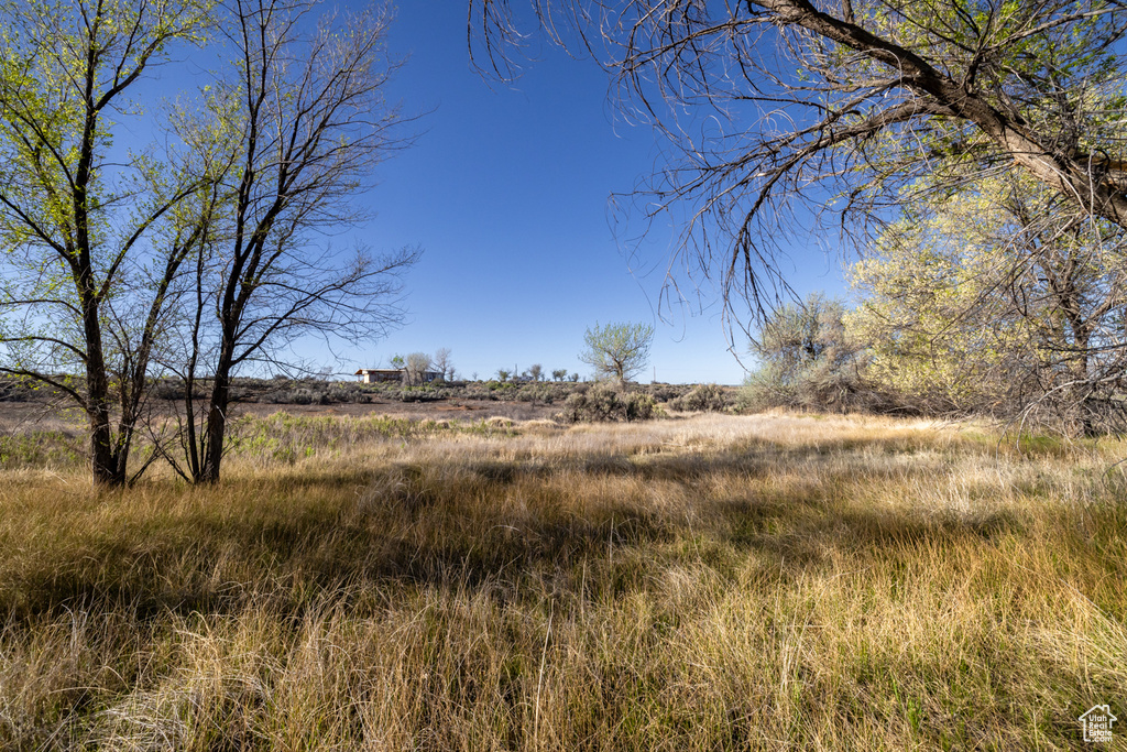 View of nature featuring rural landscape