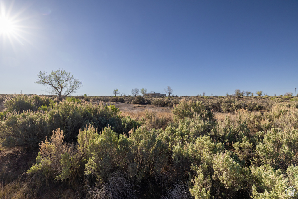 View of nature