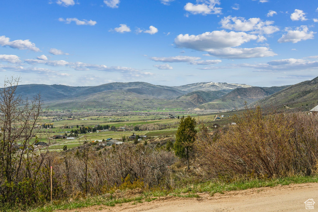 Mountain view