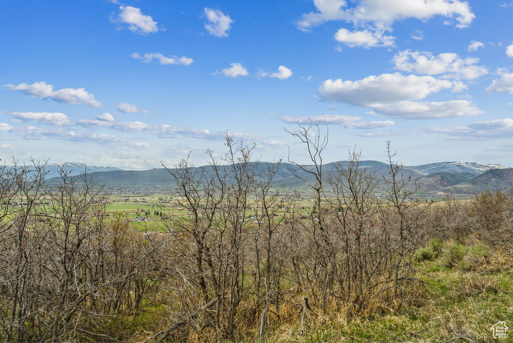 Mountain view