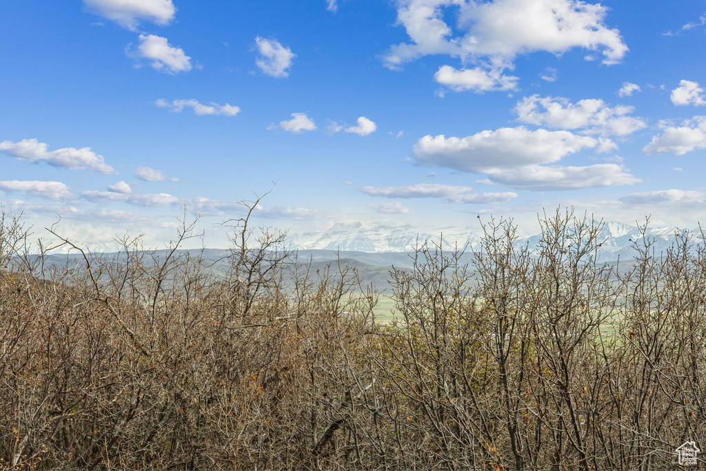 Property view of mountains