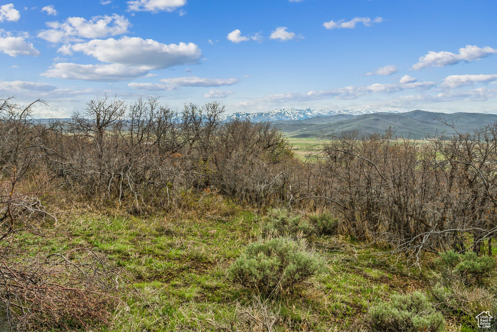 View of mountain feature