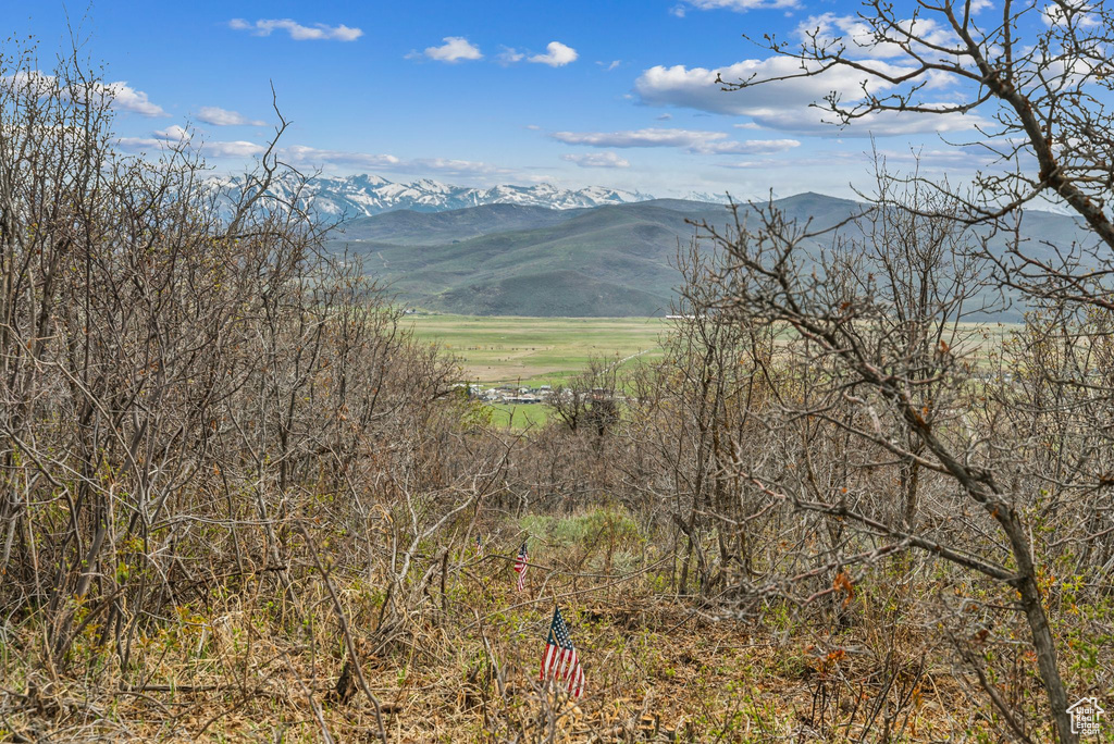 View of mountain feature