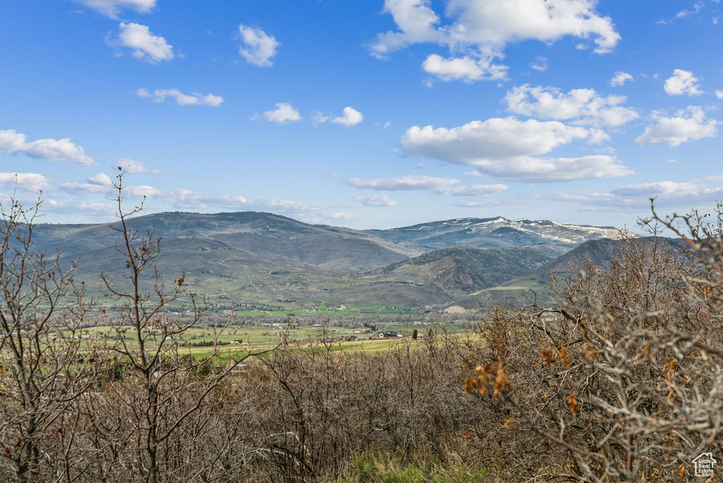 Property view of mountains