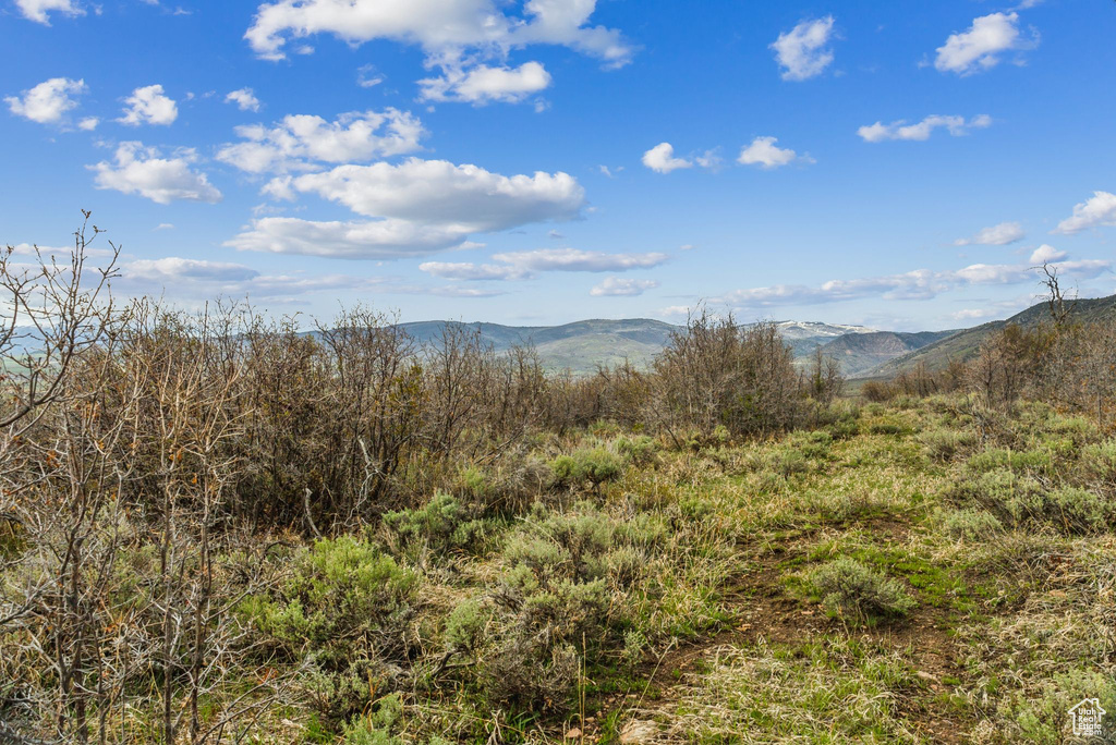 Property view of mountains