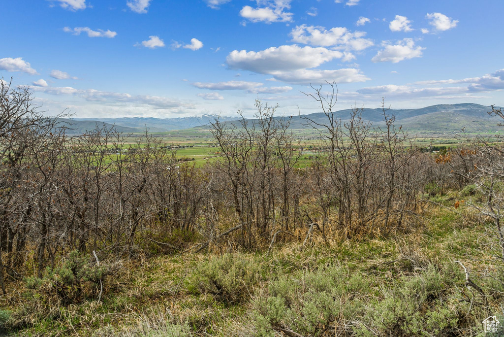 View of mountain feature featuring a rural view