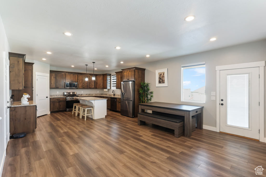 Kitchen featuring a healthy amount of sunlight, stainless steel appliances, recessed lighting, and dark wood-type flooring