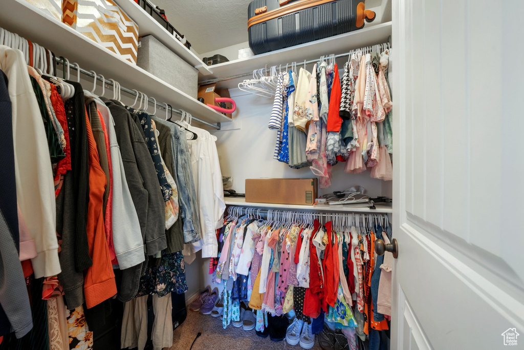 View of walk in closet