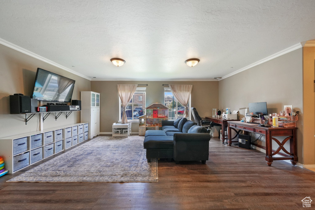 Living room featuring crown molding, a textured ceiling, baseboards, and wood finished floors