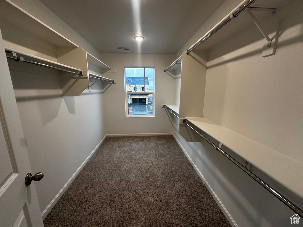 Spacious closet with carpet
