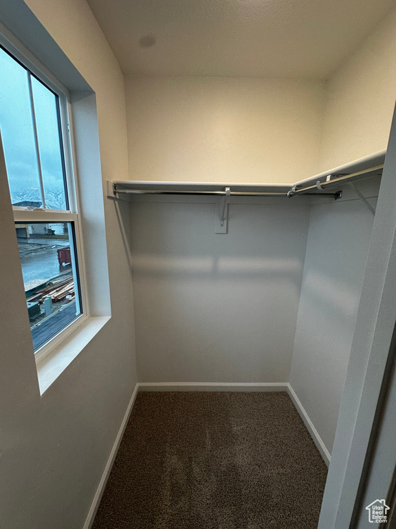 Spacious closet with carpet floors