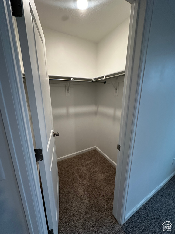 Walk in closet with carpet flooring