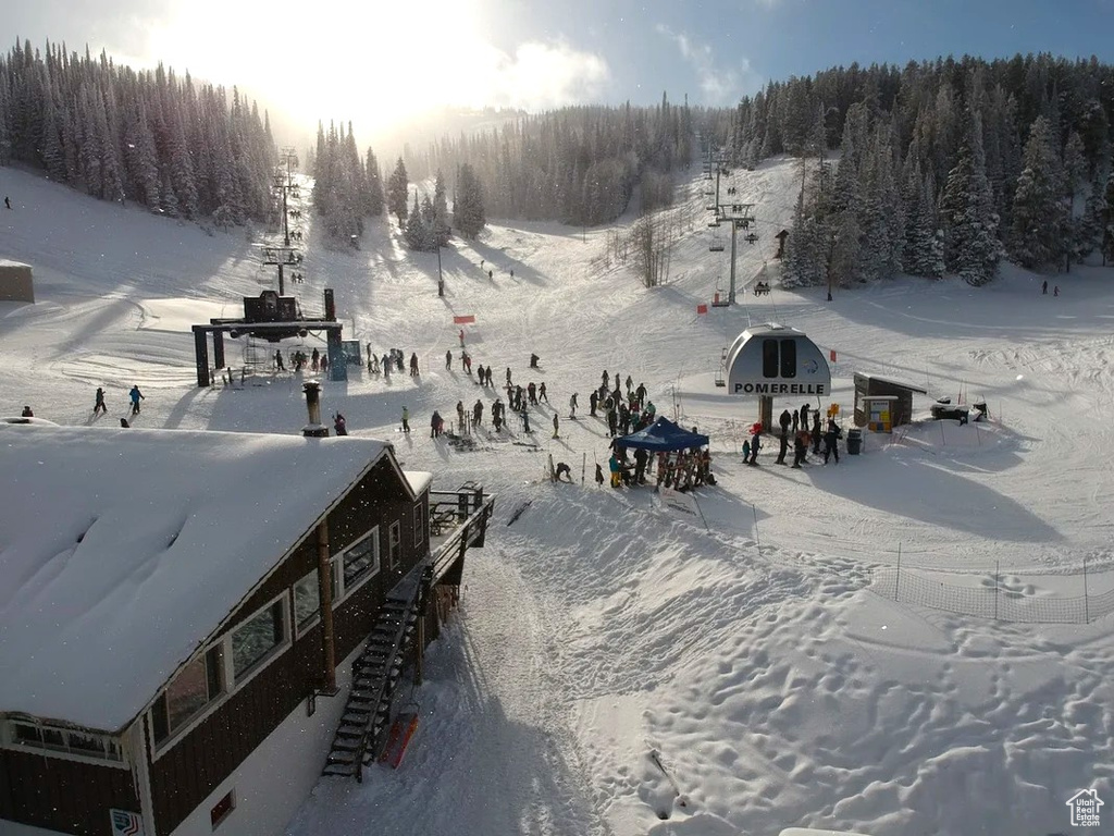 Snowy aerial view with a view of trees