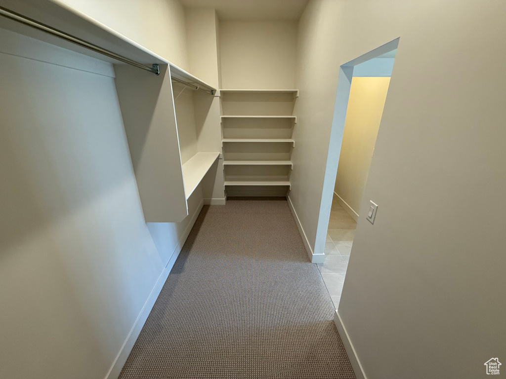 Walk in closet featuring carpet floors