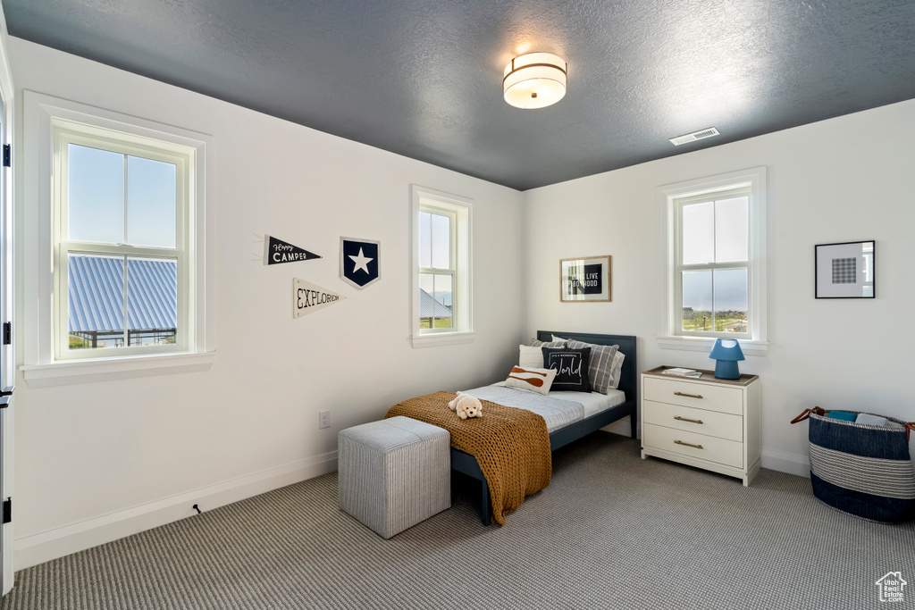 Bedroom featuring visible vents, baseboards, and carpet floors