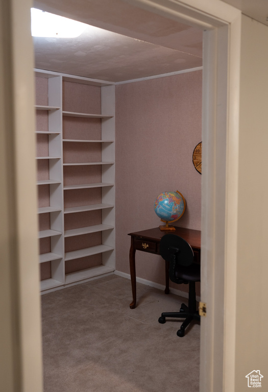 Carpeted office featuring baseboards and ornamental molding