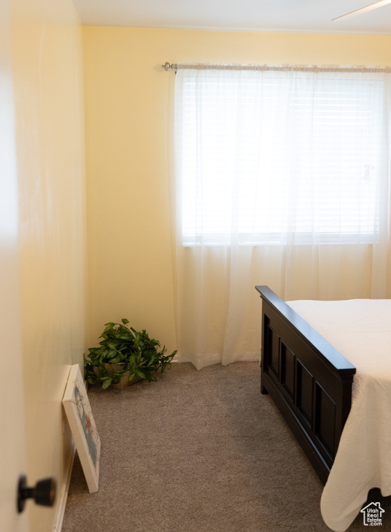 Carpeted bedroom featuring multiple windows