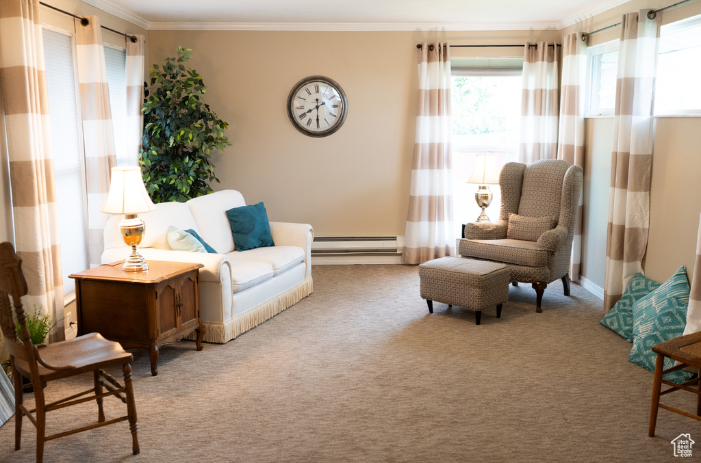 Sitting room featuring a baseboard heating unit, ornamental molding, and carpet