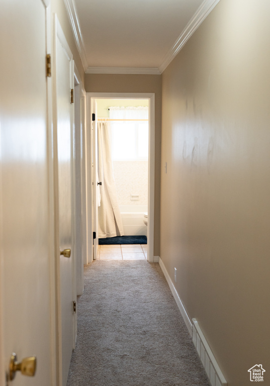 Corridor with light colored carpet, visible vents, and ornamental molding