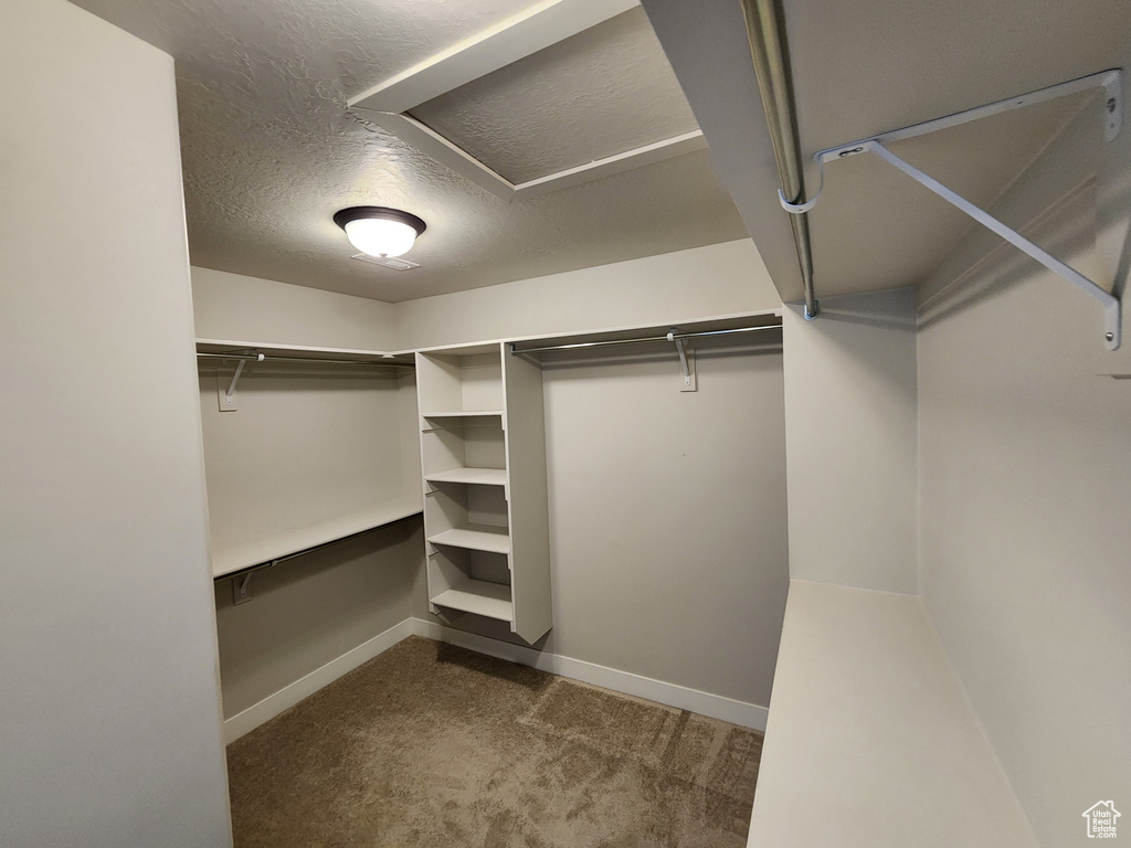 Spacious closet with dark colored carpet