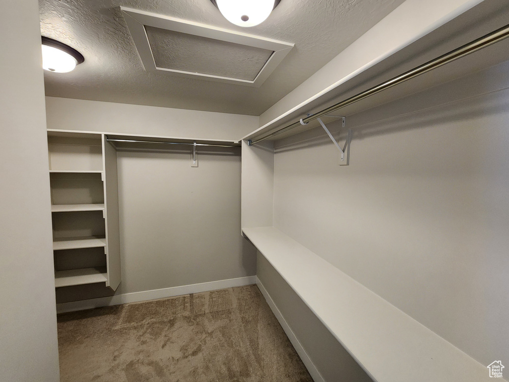 Walk in closet with carpet floors and attic access