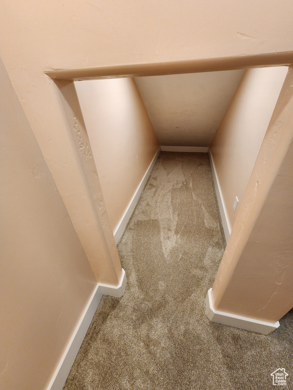 Interior details with carpet floors and baseboards