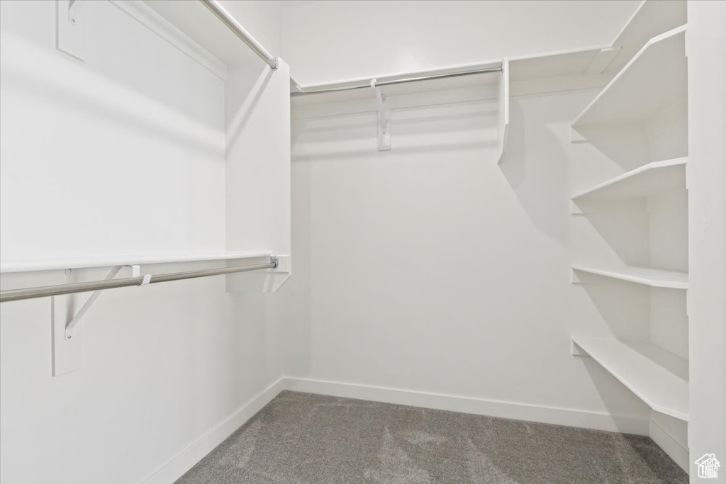 Spacious closet with carpet flooring