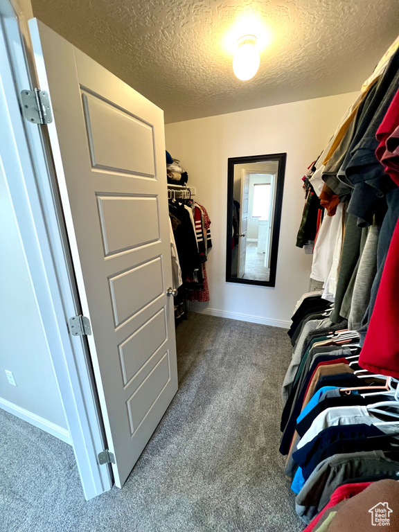 Walk in closet with carpet floors