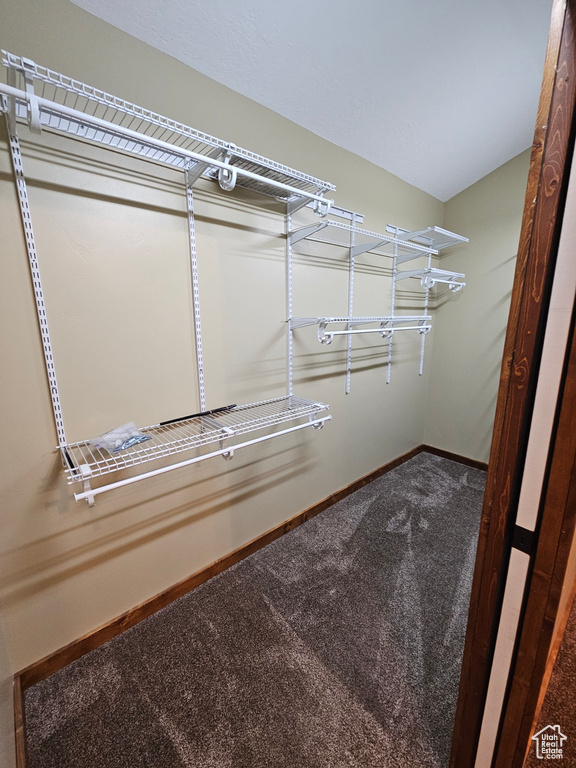 Spacious closet with carpet floors