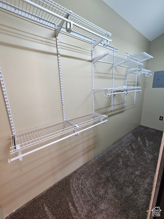 Spacious closet featuring electric panel