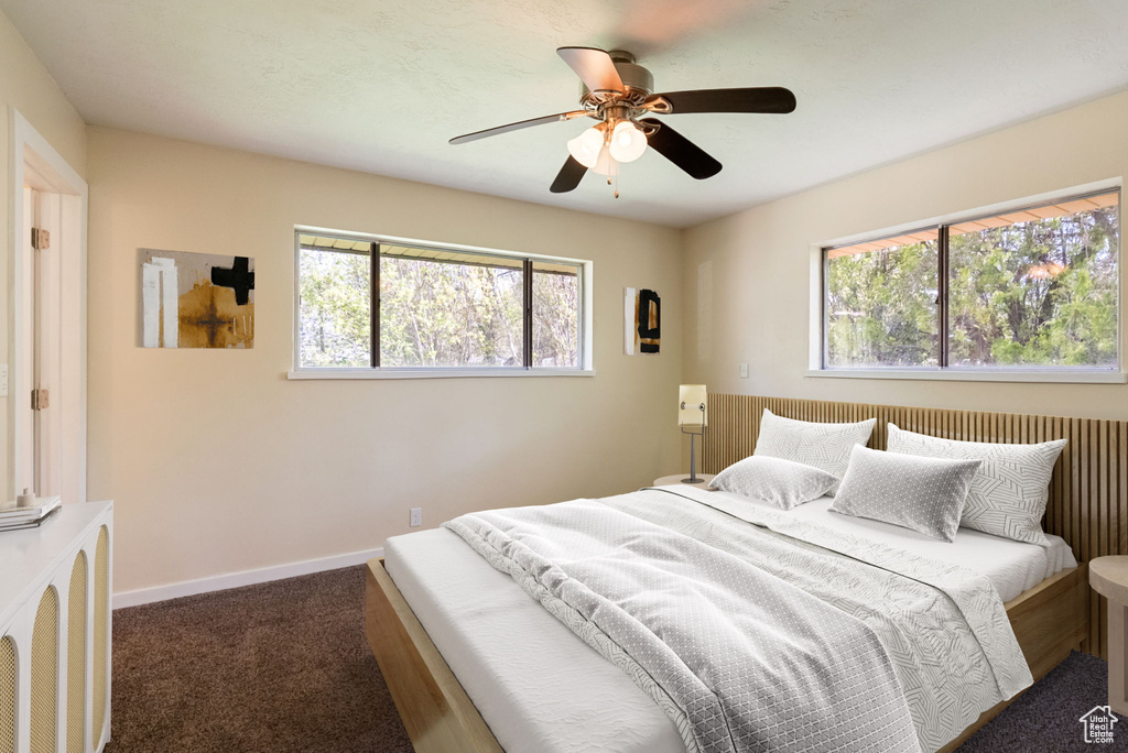 Carpeted bedroom with a ceiling fan, baseboards, and multiple windows