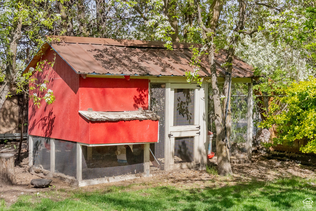 View of poultry coop