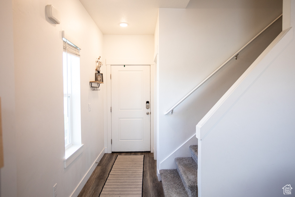 Doorway with dark wood-type flooring, baseboards, a wealth of natural light, and stairway
