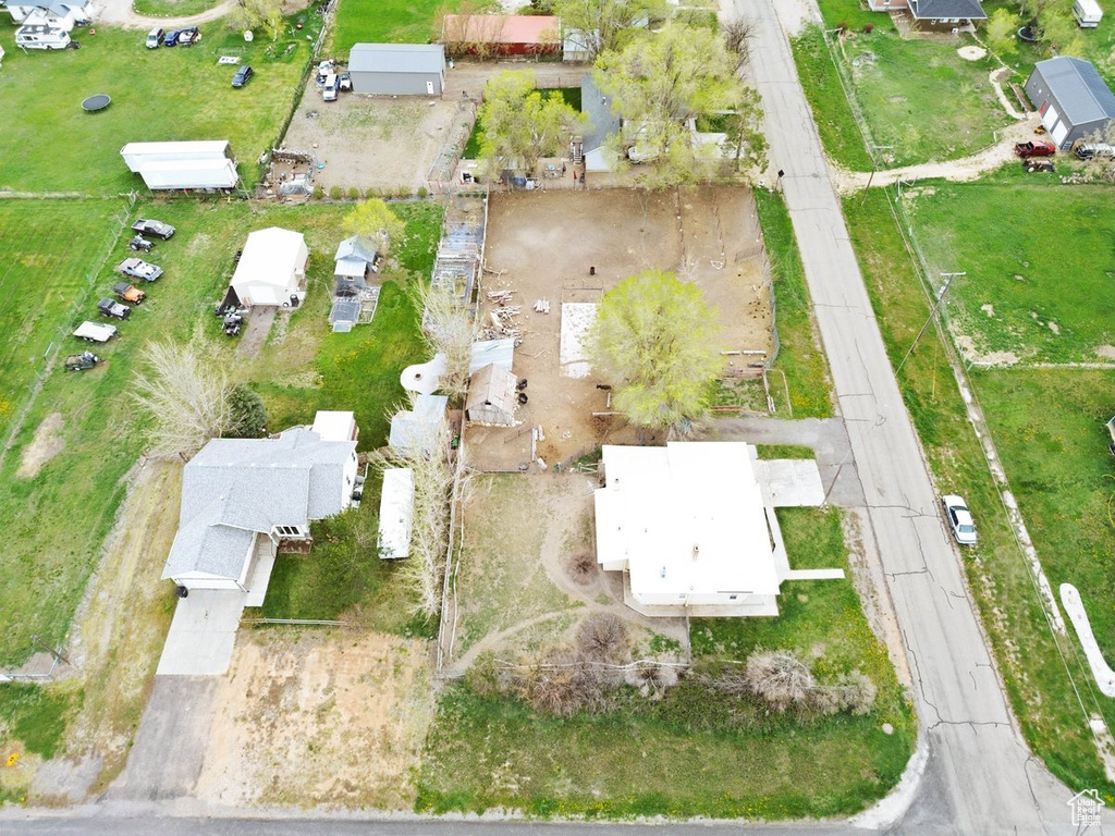 Bird\'s eye view