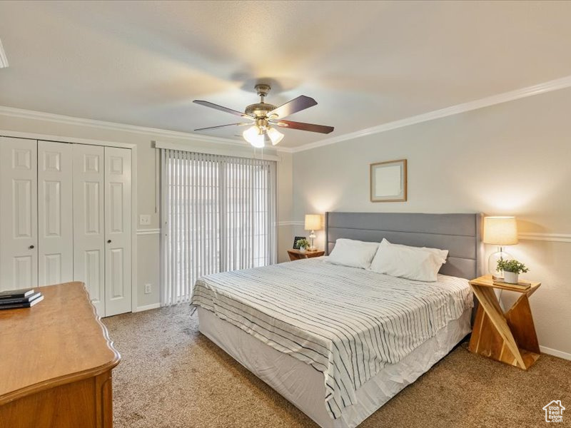 Bedroom with a closet, ornamental molding, baseboards, light colored carpet, and a ceiling fan